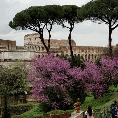 spring-in-rome A look at colosseum with flowers during spring in Rome