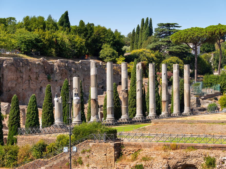 detail of palatine hill